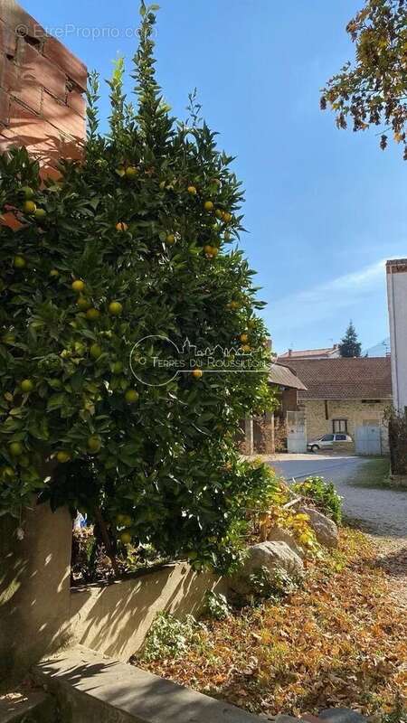 Appartement à PRADES