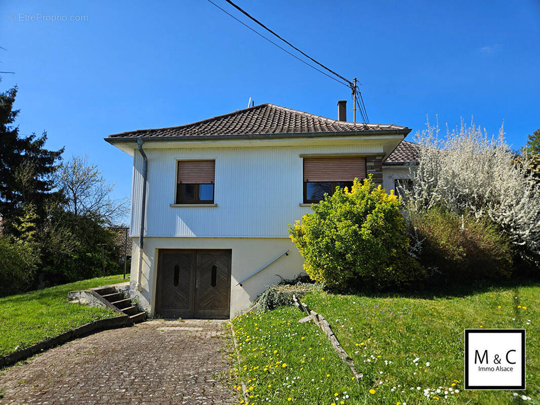 Maison à WISSEMBOURG