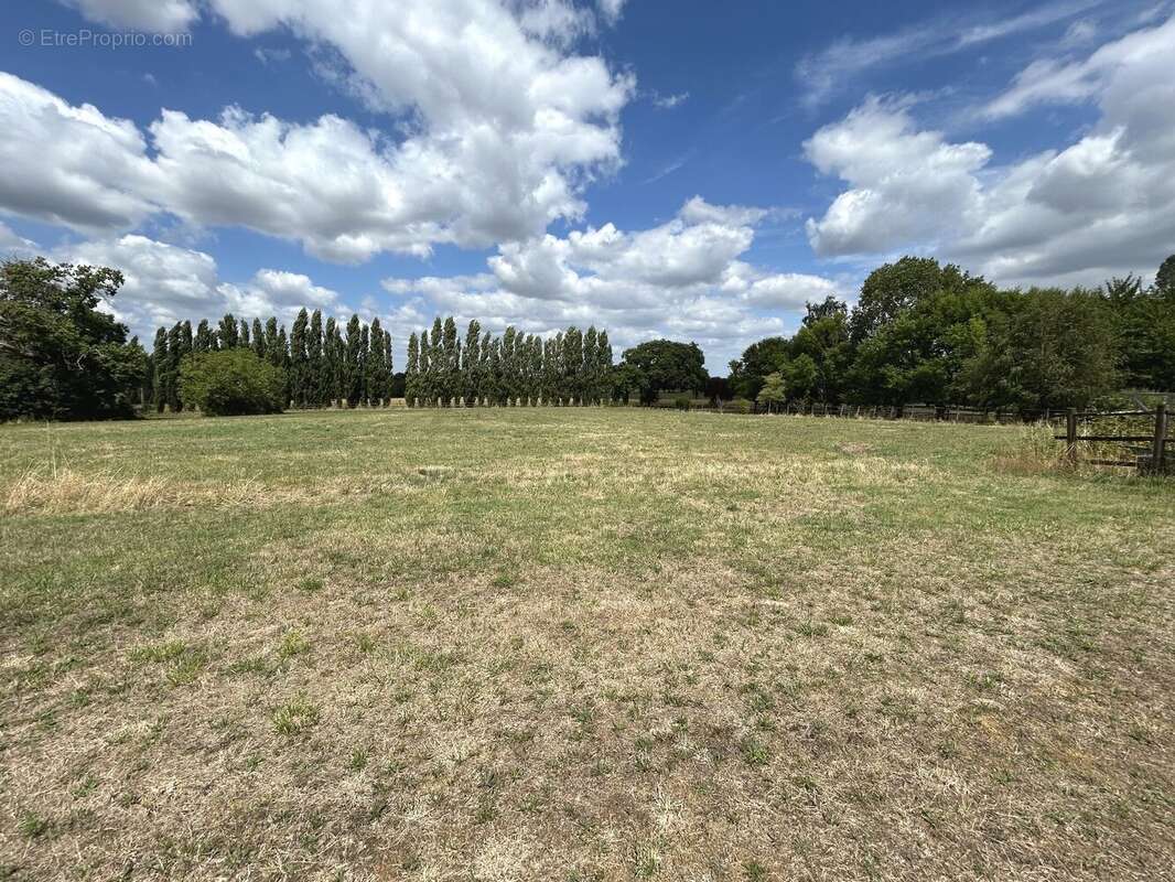 Propriete familiale - 9 chambres - 310 m² + dependances 200m² - photo 12
