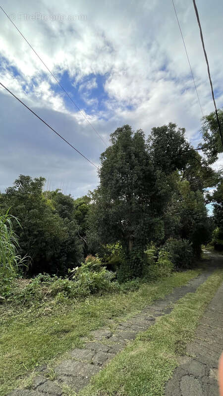 Terrain à SAINTE-MARIE