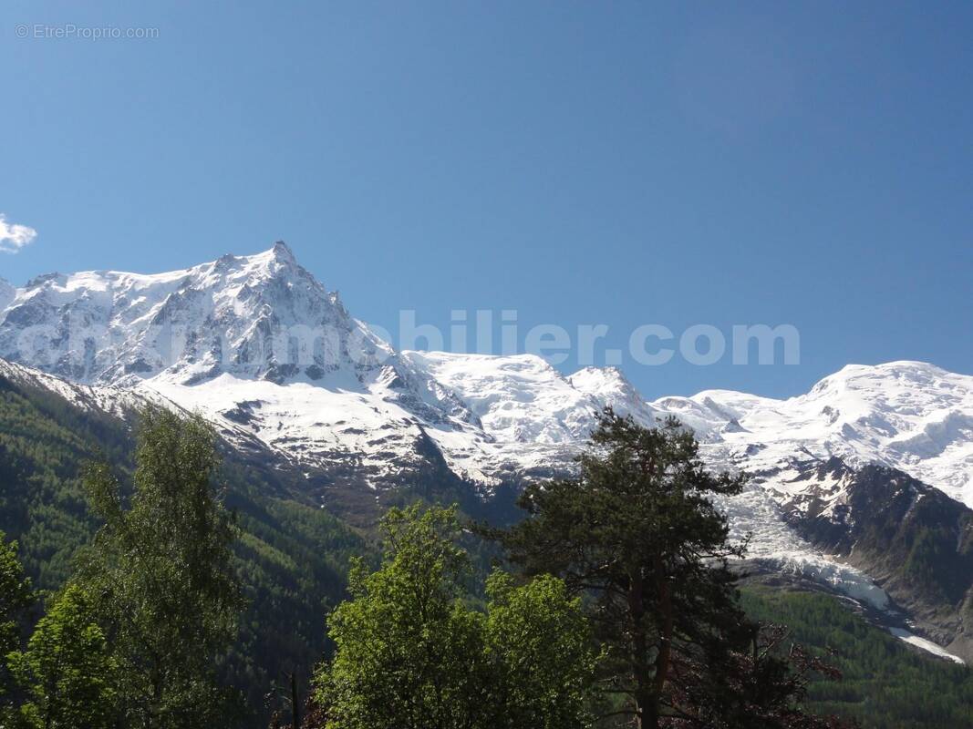 DSC05683 - Commerce à CHAMONIX-MONT-BLANC