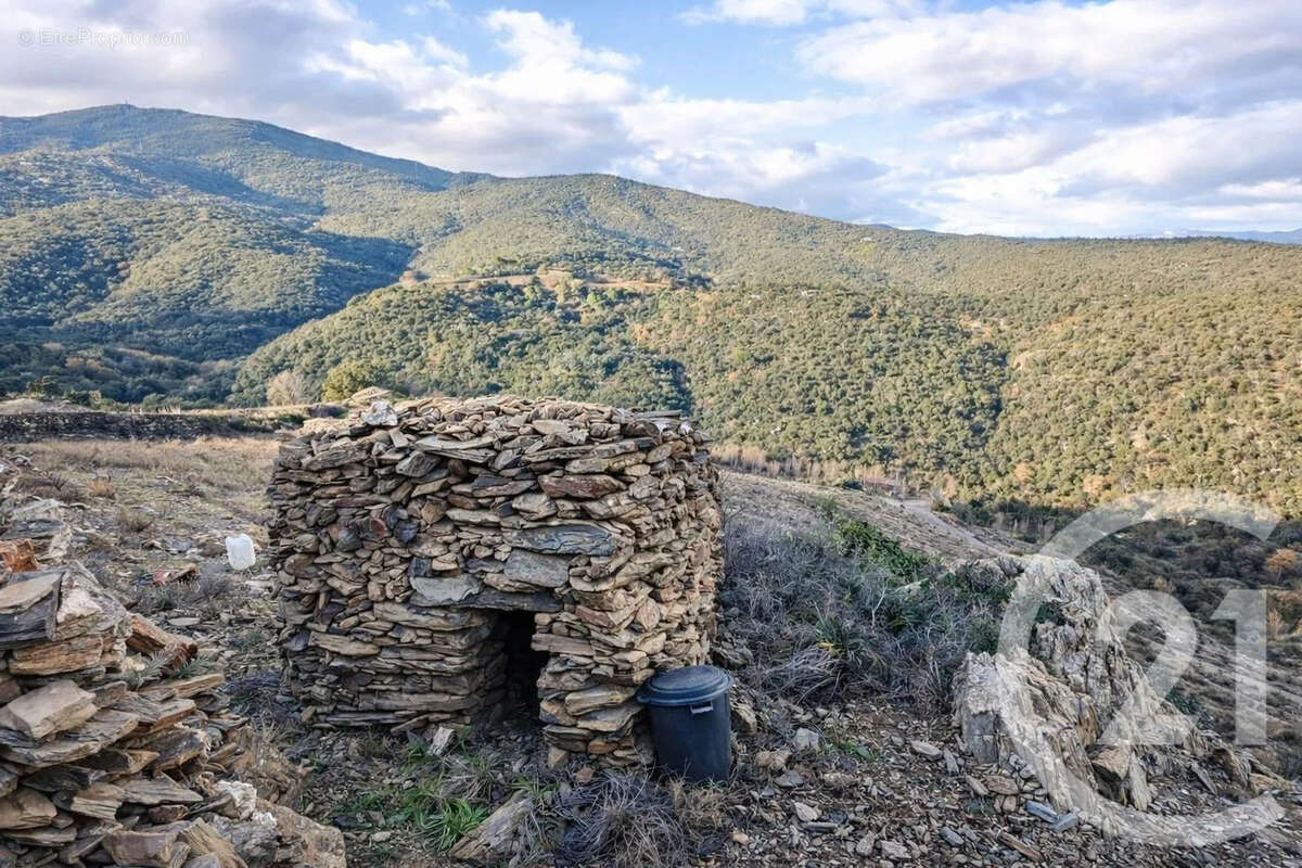 Terrain à COLLIOURE