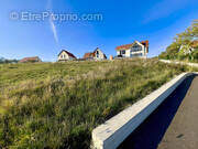 Terrain à ROSENWILLER