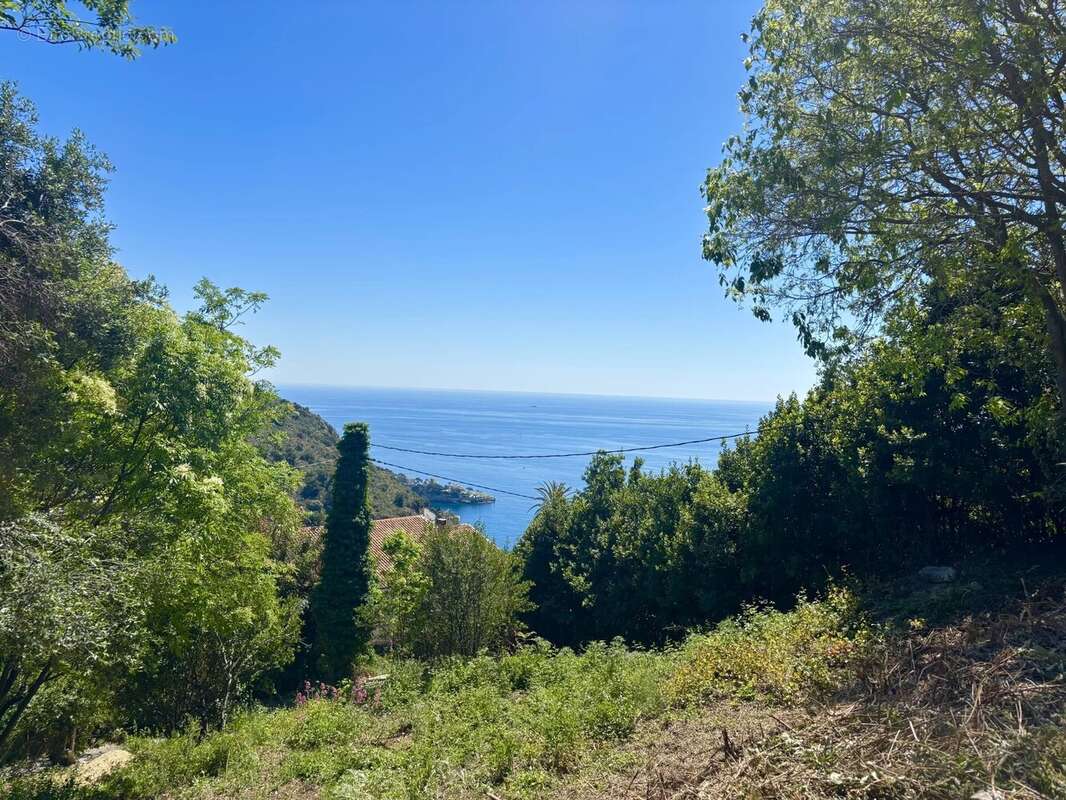 Terrain à EZE