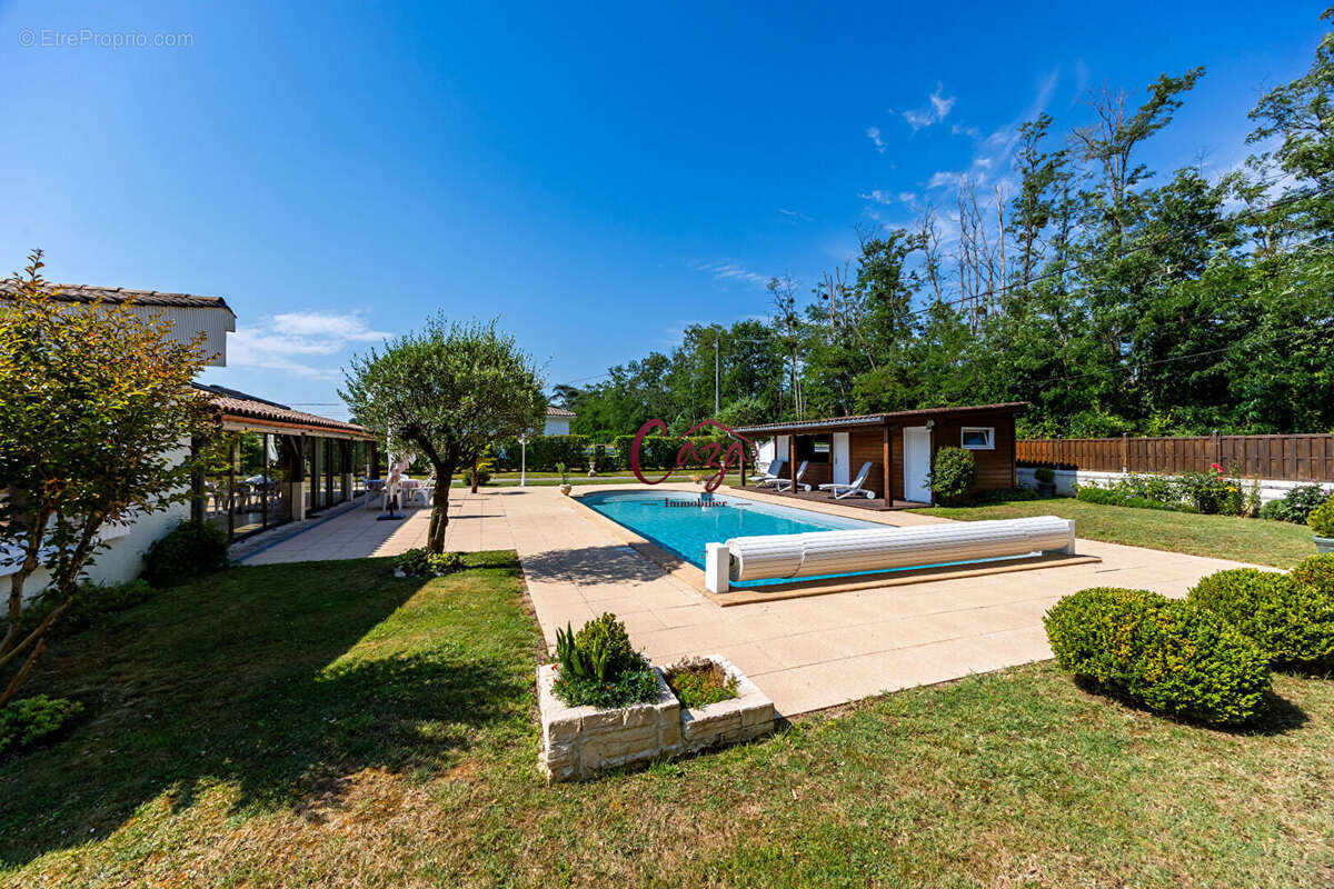 Maison familiale avec piscine , grand garage et studio indépendant MONTUSSAN - photo 6