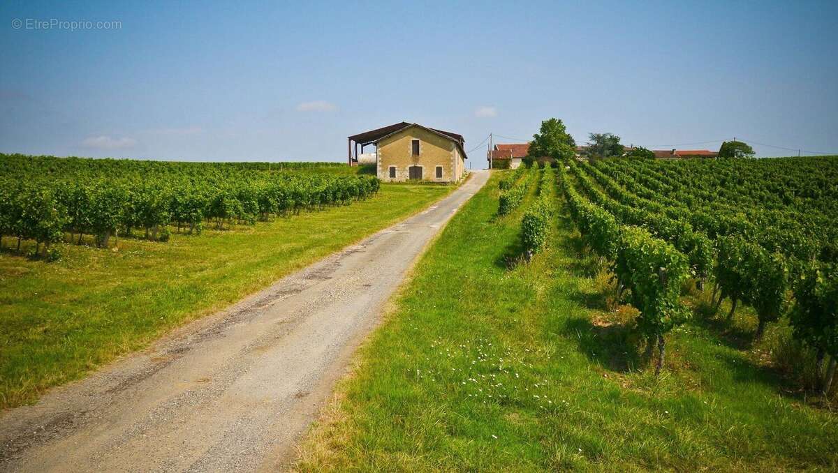 Domaine Viticole Éco-responsable à Vendre - photo 4