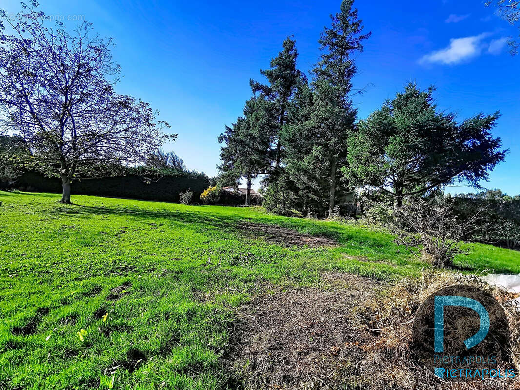 Terrain à SAINT-CYR-SUR-MENTHON