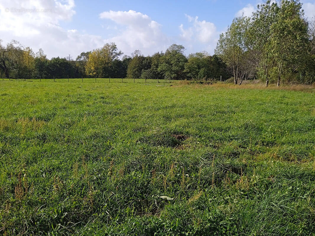 Terrain à SAINT-CAPRAIS-DE-BLAYE