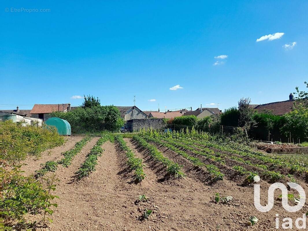 Photo 1 - Terrain à JUTIGNY