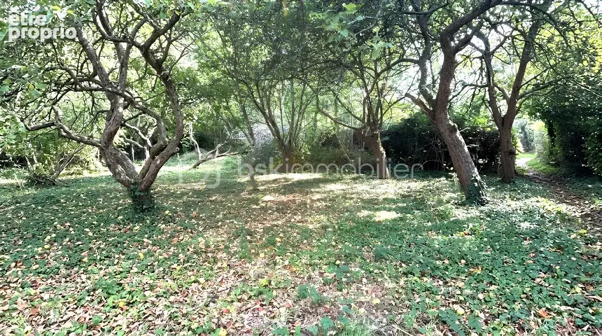 Terrain à CLOHARS-CARNOET