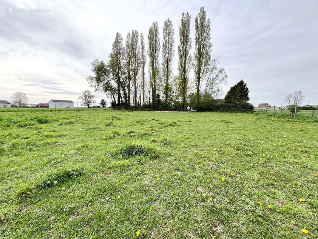 Maison à GUARBECQUE