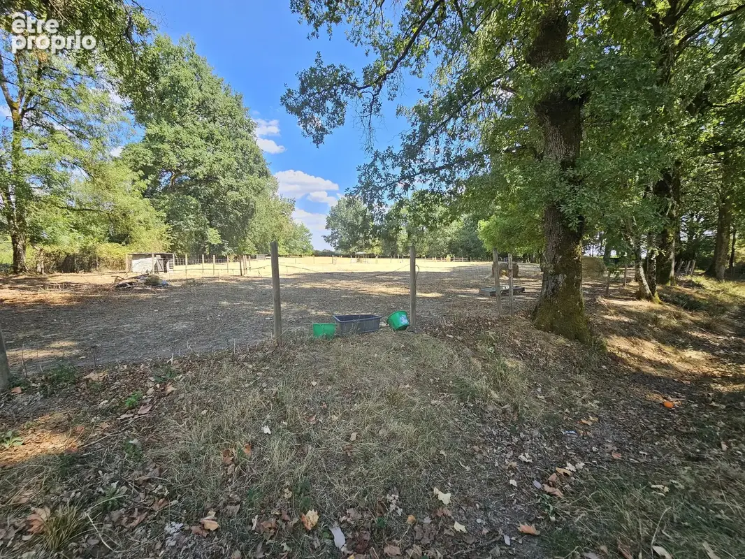 Propriété de caractère avec plus d'un hectare de terrain – Une opportunité de style de vie rare - photo 17