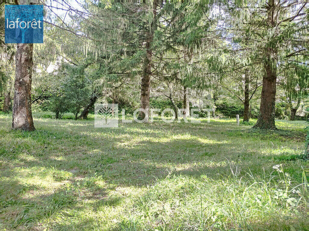 Terrain à PRATS-DE-MOLLO-LA-PRESTE