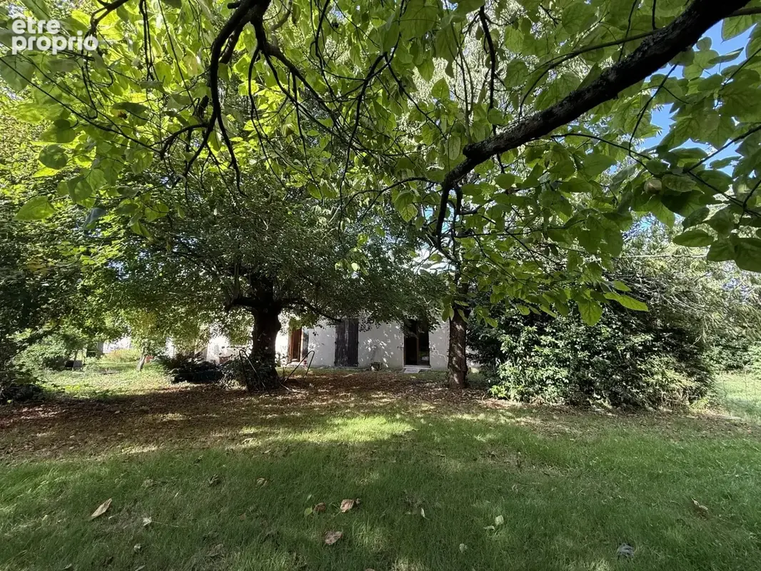 PIED PIED avec 4600m² Terrain bien arboré - photo 19