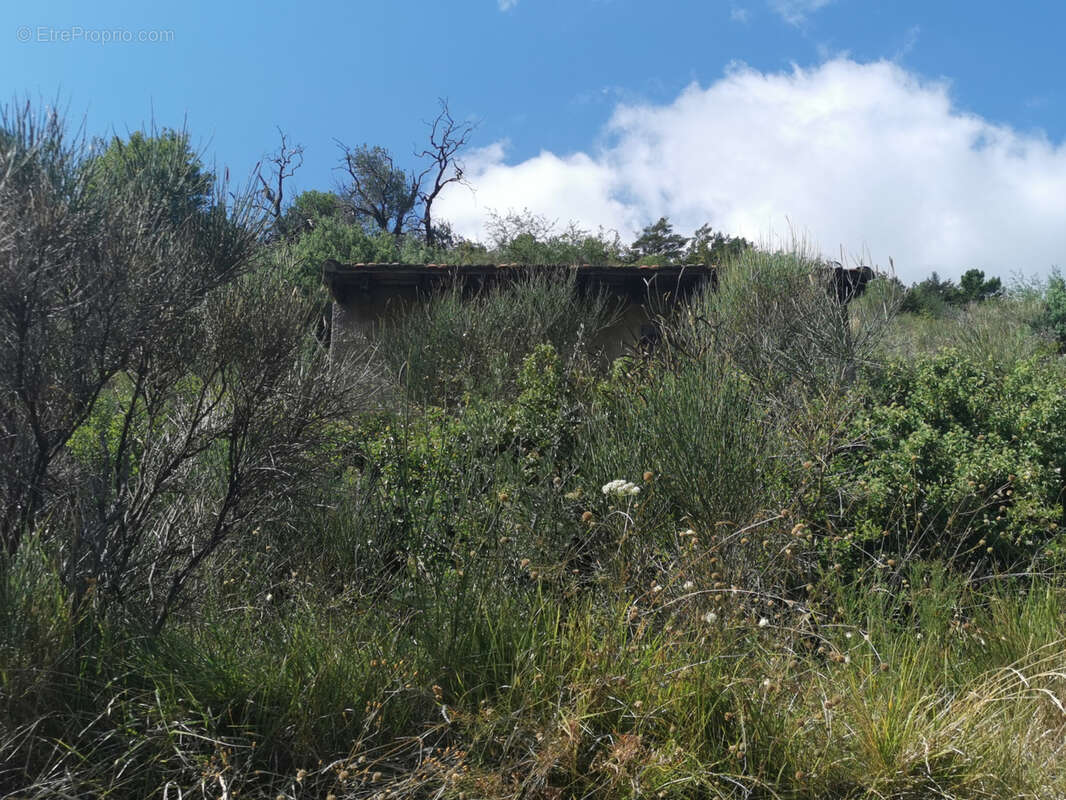 Terrain à BREIL-SUR-ROYA