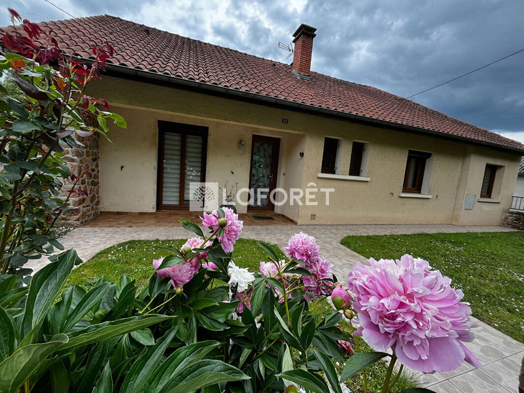 Maison à FIRMI
