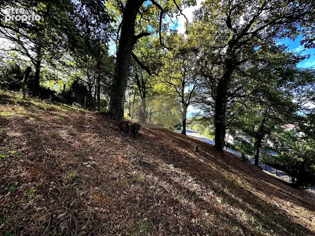 Terrain constructible proche de Tarbes - photo 7