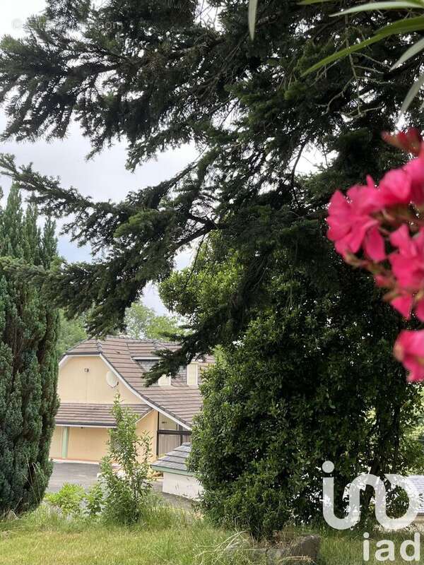 Photo 7 - Maison à ASSON