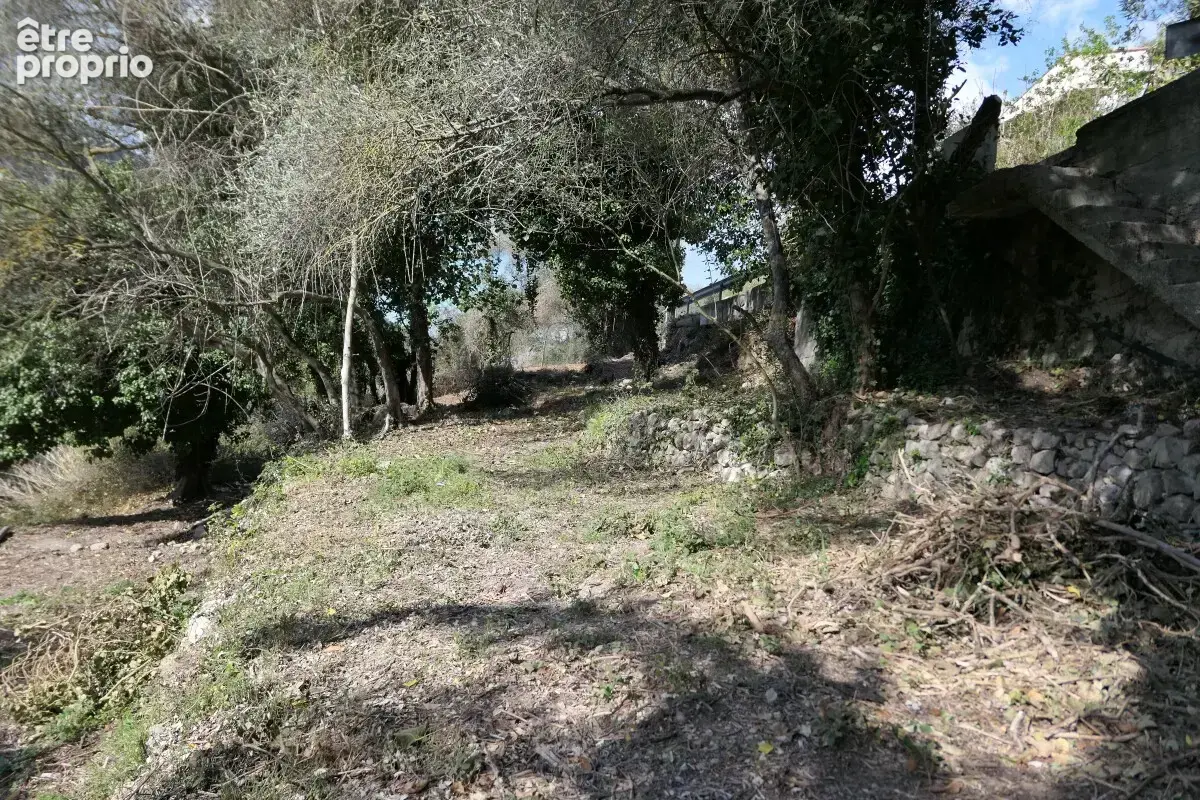 Terrain à LA TRINITE