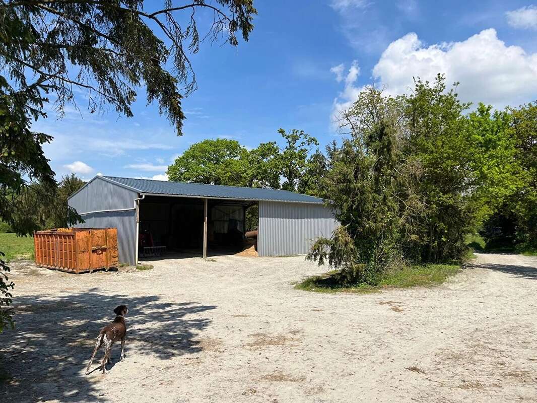 Maison à SAINT-BRANDAN