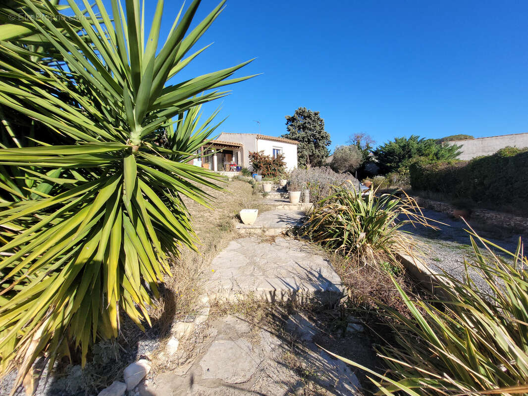 Maison à SALLES-D&#039;AUDE