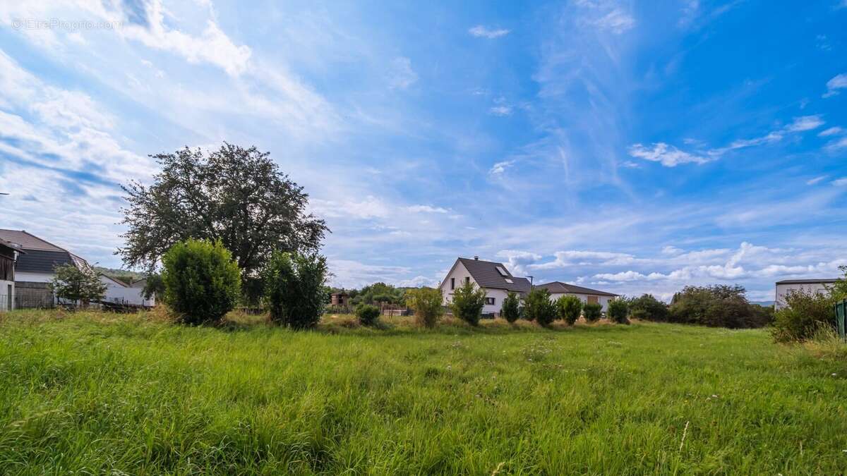 Terrain à TAGOLSHEIM