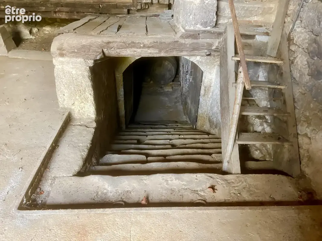 Ancienne maison vigneronne avec son cuvage cave et  dependances - photo 3