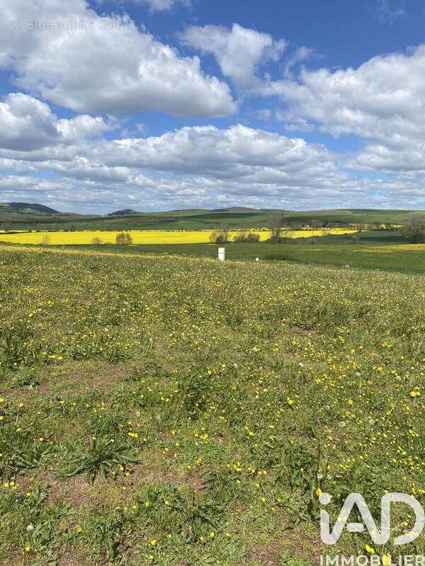 Photo 2 - Terrain à BELMONT-SUR-RANCE