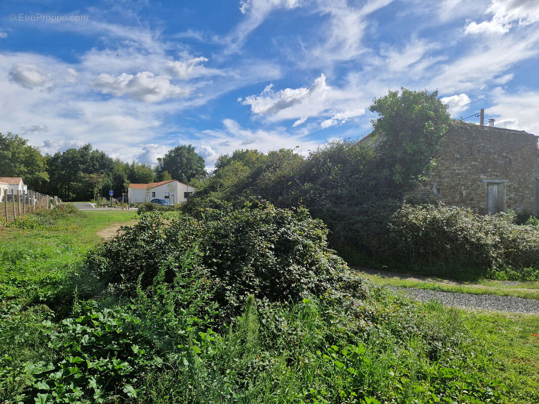 Terrain à SAINT-PHILBERT-DE-BOUAINE