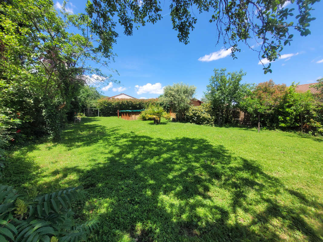 Maison à LES MARTRES-DE-VEYRE