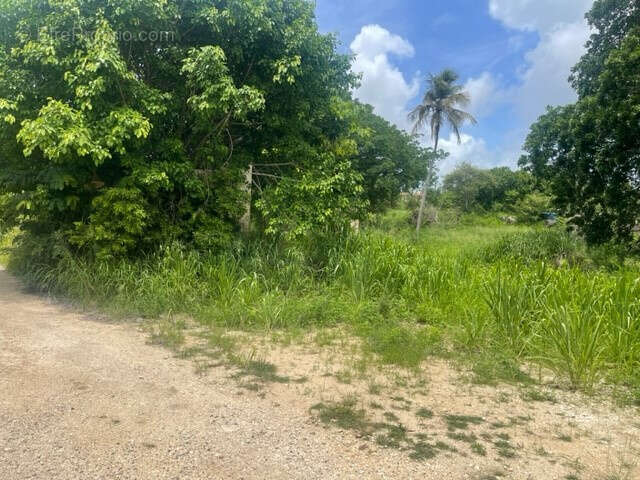 Terrain à PETIT-CANAL