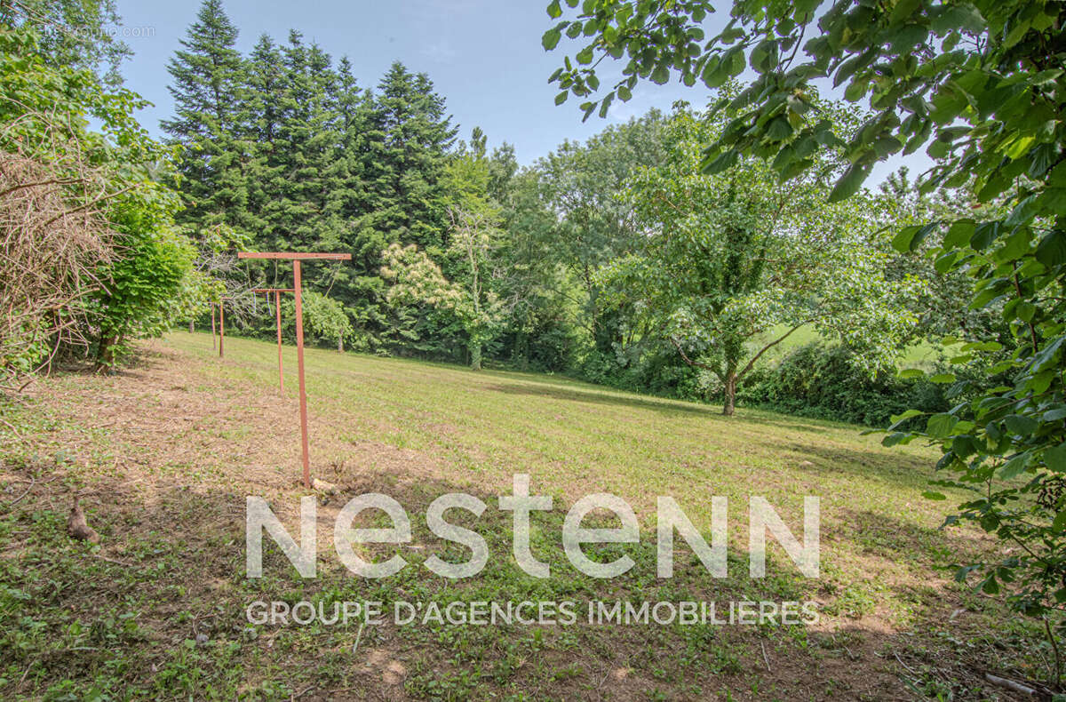 Maison Saint Pierre De Trivisy 150m2 habitables sur 3000m2 de terrain - photo 17