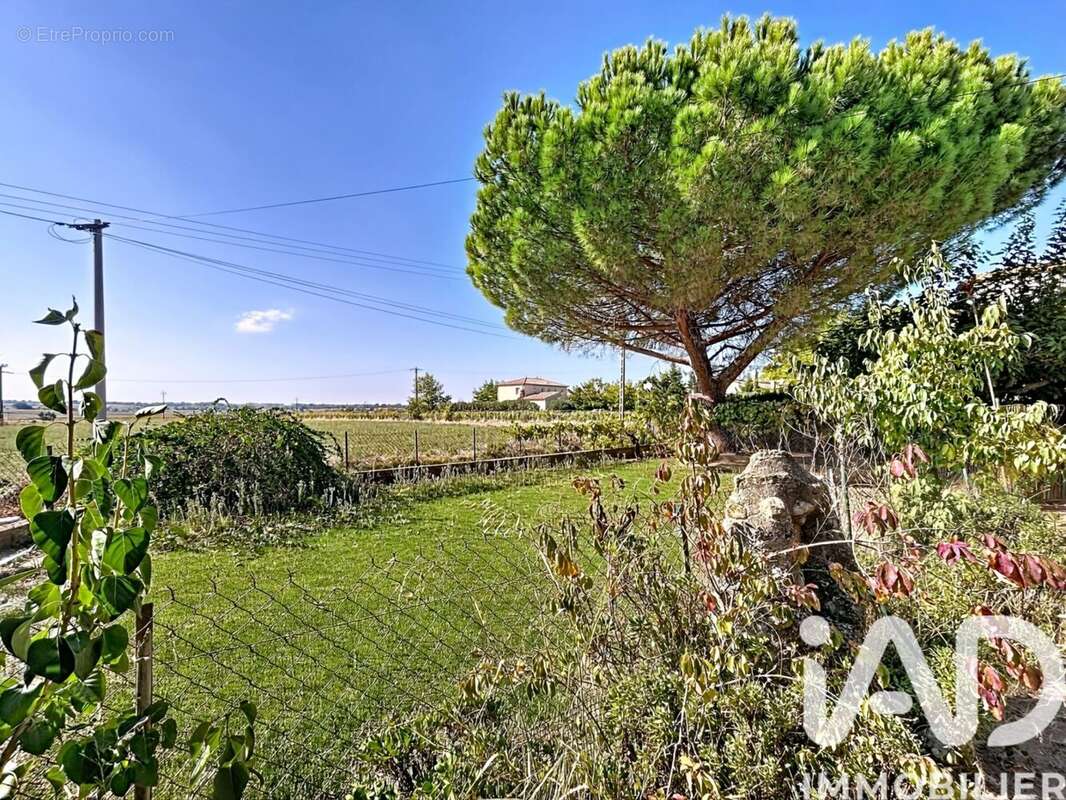 Photo 3 - Maison à ALIGNAN-DU-VENT