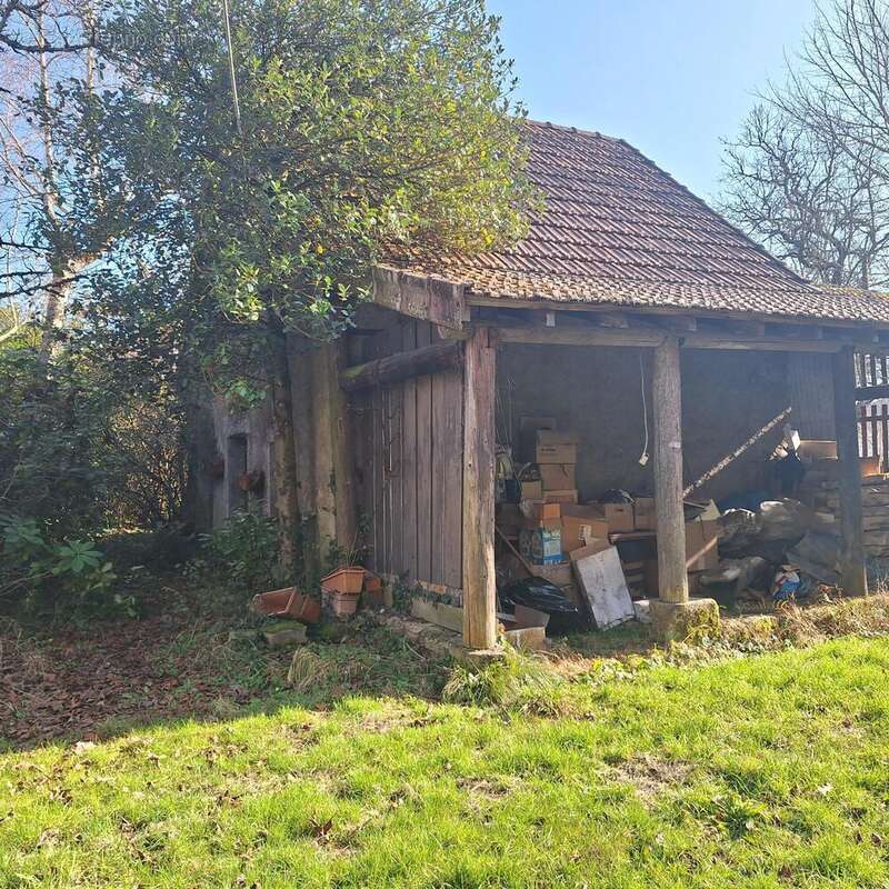 Photo 6 - Maison à MARMAGNE