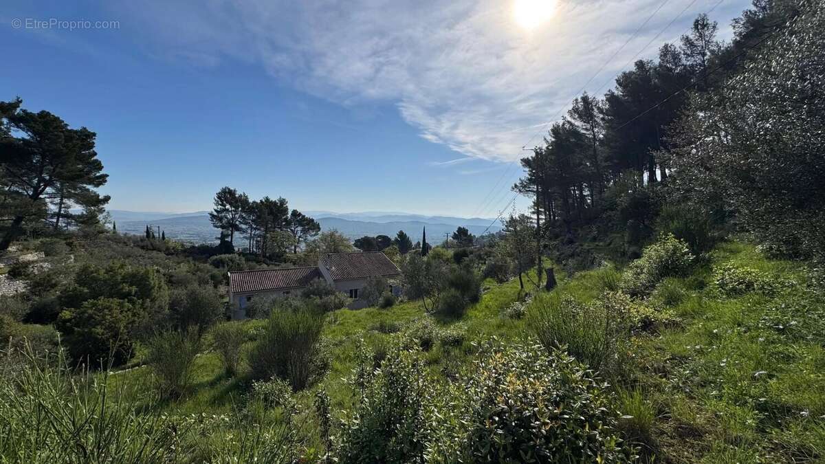 Terrain à SOLLIES-VILLE