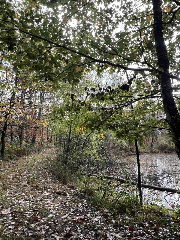 Terrain à CONFOLENS