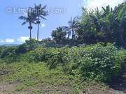 Terrain à LE TAMPON