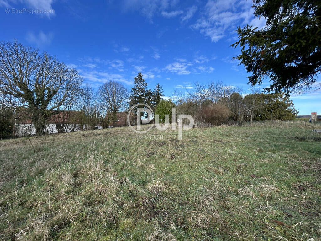 TERRAIN à bâtir - 40m de façade - 1 600m² à Mont-Saint-Éloi - photo 2