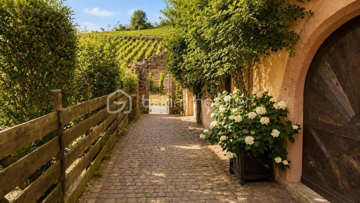 Maison de village de caractère au cœur de Riquewihr - photo 13