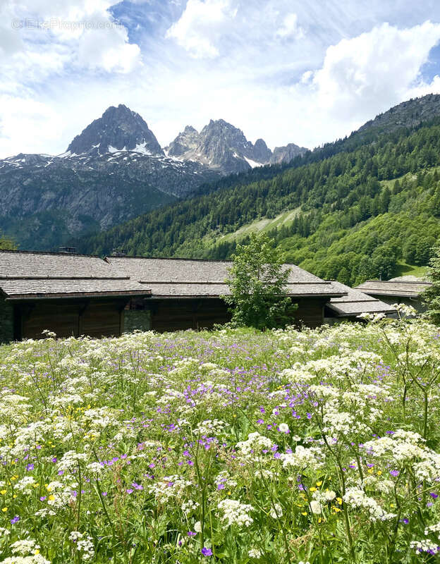 Maison à CHAMONIX-MONT-BLANC