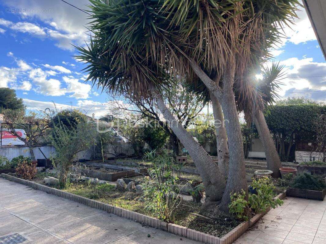 Maison à FRONTIGNAN