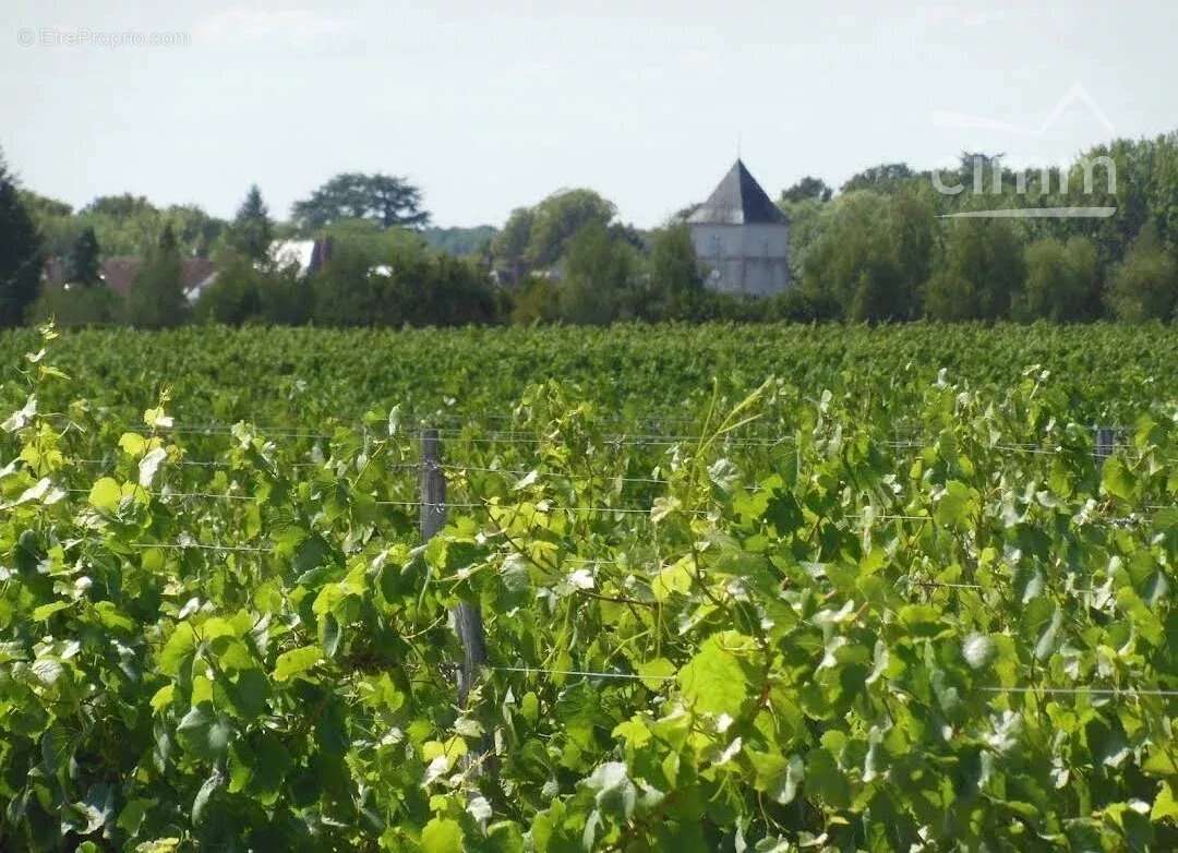 Maison à HUISSEAU-SUR-COSSON