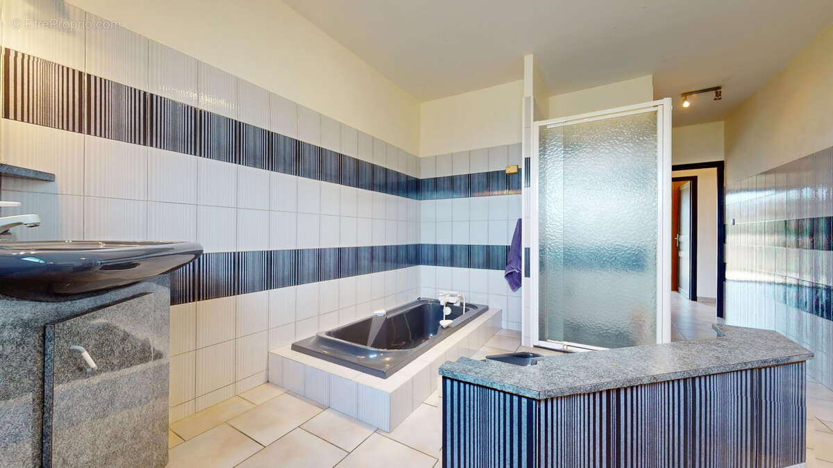 Maison à LA TOUR-DU-CRIEU