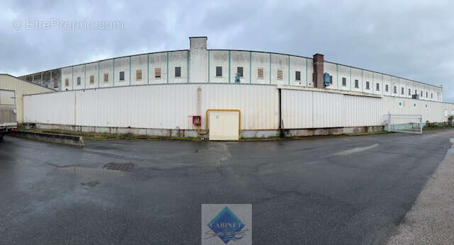 LOCAUX PRO de 5000m2 sur parcelle de 9000m2 - photo 5