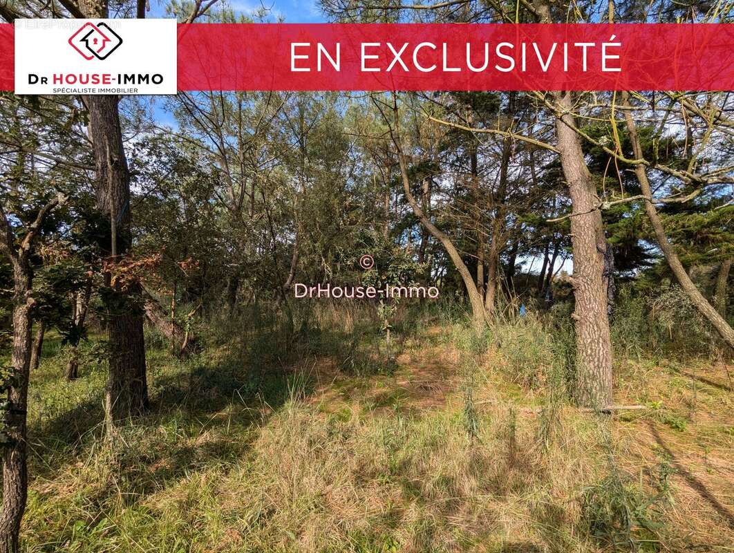 Terrain à L&#039;ILE-D&#039;OLONNE