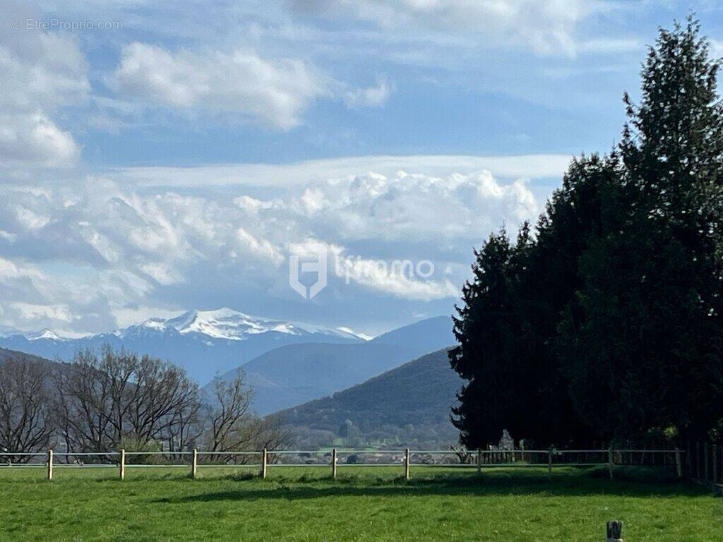 Terrain à MONTREJEAU