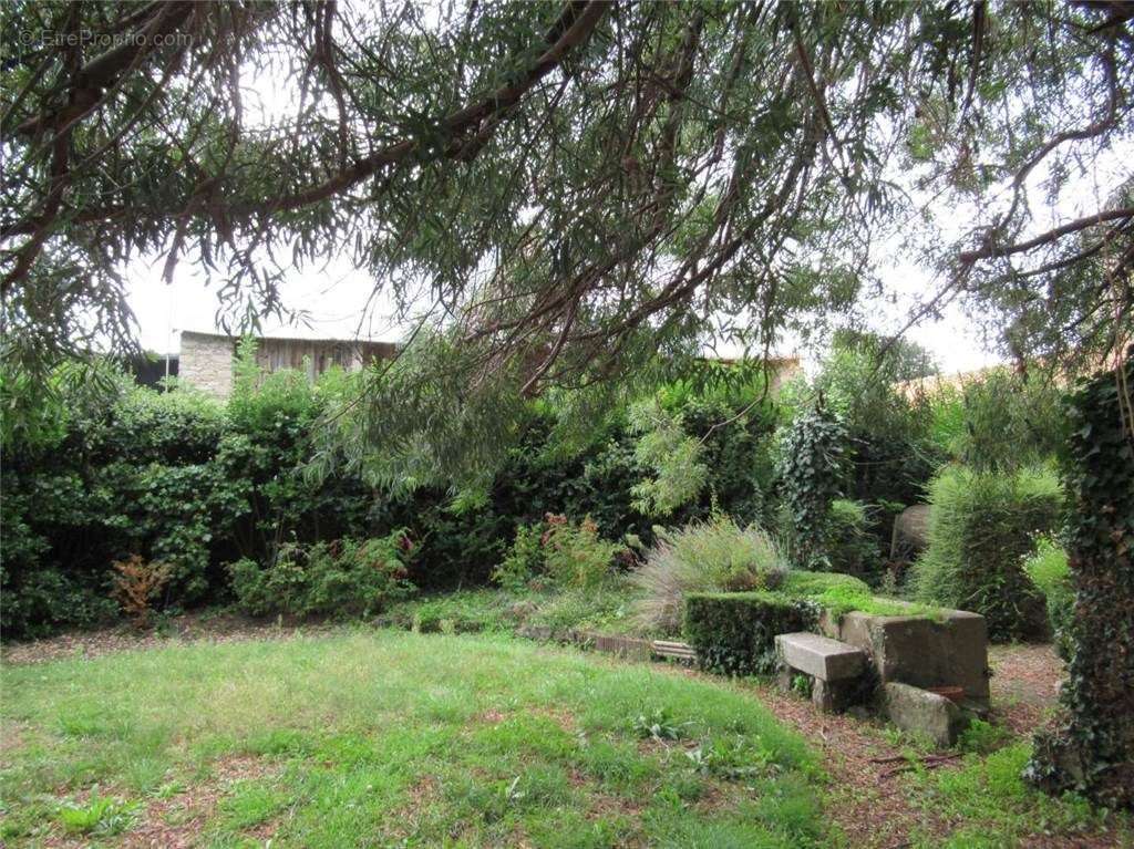 IMG_0811 - Maison à BOUIN