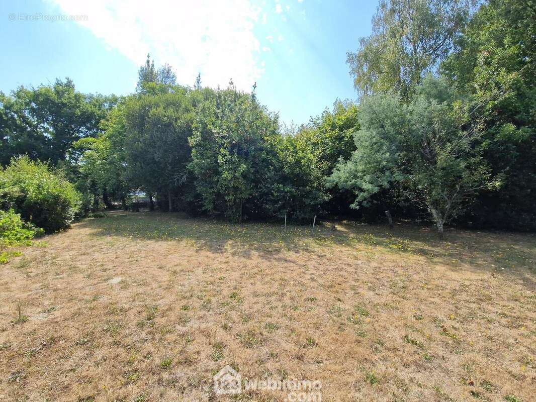 Maison 75 m² à Saint-Georges-De-Pointindoux  - photo 5
