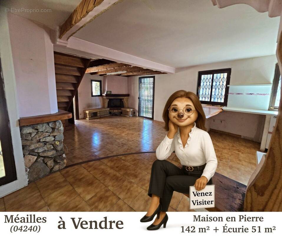 Maison à MEAILLES
