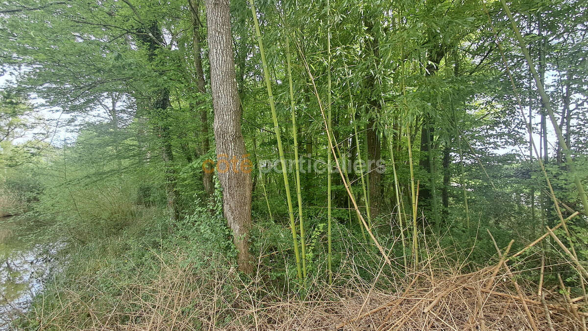Terrain à CHEVILLON-SUR-HUILLARD